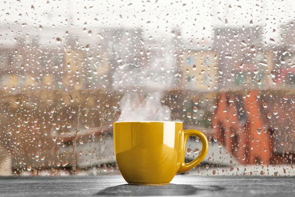 Rainy Day Flavours