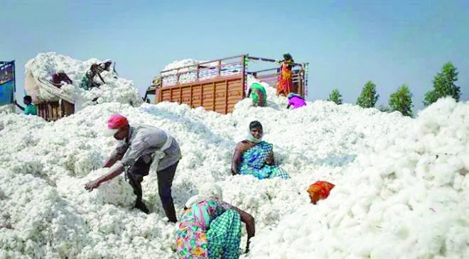 New US Cotton Hub in CTG to Cut Import