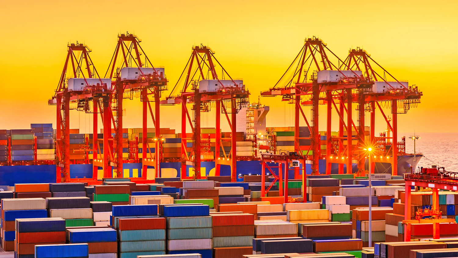Strong Ready-Made Garment and Sector Diversity Drive 13.14% Export Growth in August