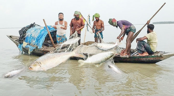 22-day ban to protect mother Hilsa from tomorrow