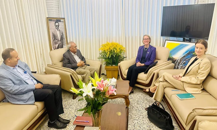 British High Commissioner meets Rizvi